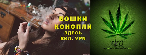 метадон Ельня