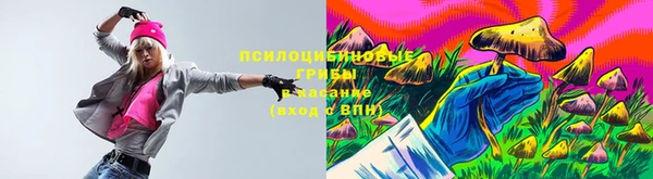 мдма Елизово