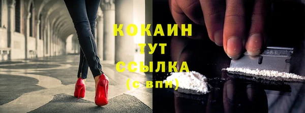 мдма Елизово