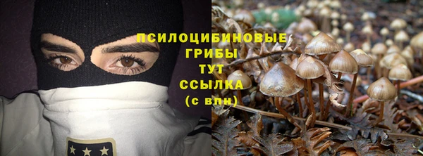 мдма Елизово