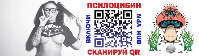 Галлюциногенные грибы Psilocybe  Купить закладки  Клинцы 